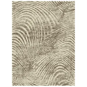 Obrazek Dywan New Shiraz 1,6/2,3 2001 4067 S44