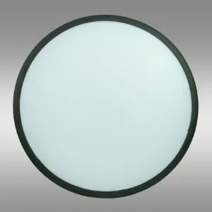 Obrazek Plafon LARA MAX VO2541 24W 4000K PL1