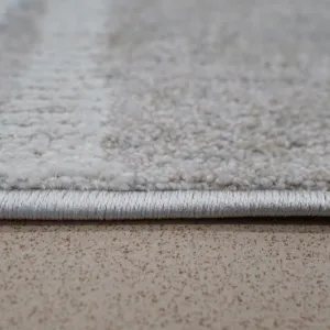 Obrazek Dywan Trend 1,6/2,3 Se24a Qbs kremowy