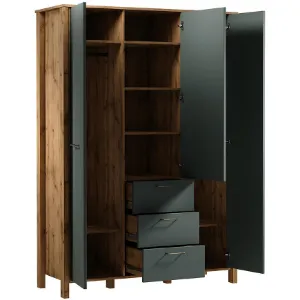 Obrazek Szafa Indygo S3D3S dąb wotan-green