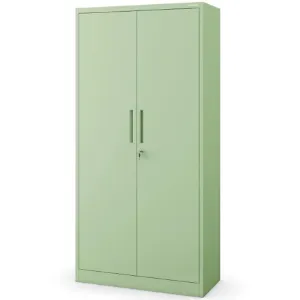 Obrazek Szafa Metalowa Biurowa Dawid zielony pastelowy