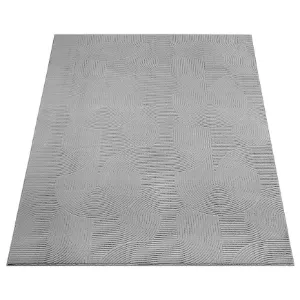 Obrazek Dywan Stilo 0,8/1,5 390 95 szary