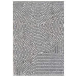 Obrazek Dywan Pasos 0,8/1,5 FR2426 SHZ11 szary