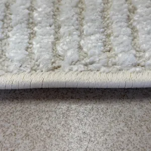 Obrazek Dywan Pasos 1,6/2,3 FR2453 SHY33 kremowy