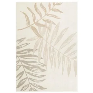 Obrazek Dywan Velutto 1,6/2,35 40010 YC9  W