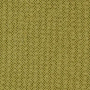 Obrazek Tapczan Adam Curio 35