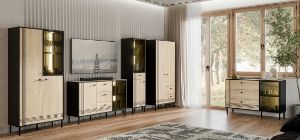 Obrazek Szafka RTV jednodrzwiowa z szufladą Quel typ 7