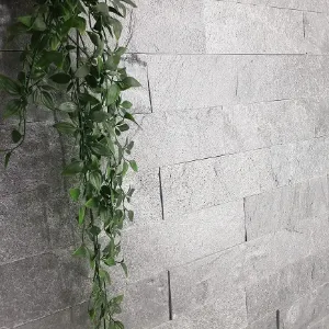 Obrazek Kamień Naturalny Silver Grey