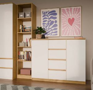 Obrazek Komoda Aramis 2D4S dąb artisan/biały