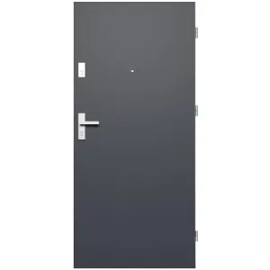 Obrazek Drzwi wewnętrzne wejściowe Kleopatra 80P grafit mat