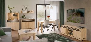 Obrazek Komoda dwudrzwiowa Ferro FE02 z szufladami