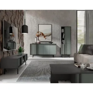 Obrazek Szafka RTV 120 Alsy 10 Aloes/Antracyt