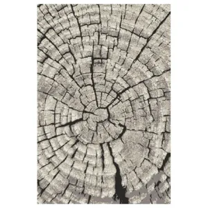 Obrazek Dywan Frisee Phoenix 1,2/1,7 6021 244