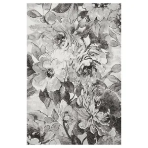 Obrazek Dywan Frisee Phoenix 0,8/1,5 6033 544