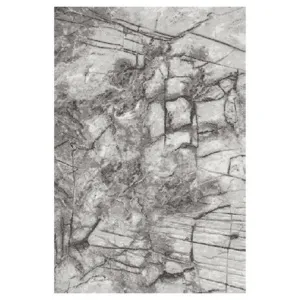 Obrazek Dywan Frisee Phoenix 1,6/2,3 6057 544