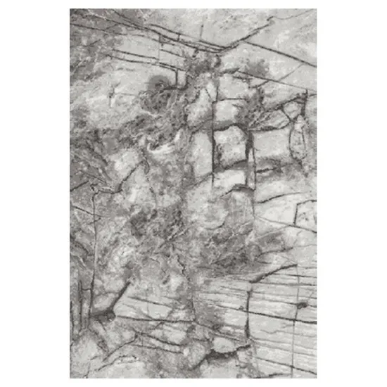 Obrazek Dywan Frisee Phoenix 1,6/2,3 6057 544