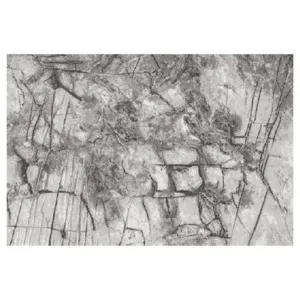 Obrazek Dywan Frisee Phoenix 1,6/2,3 6057 544