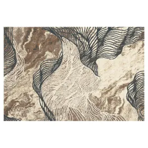 Obrazek Dywan Frisee Phoenix 1,6/2,3 5034 744