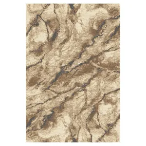 Obrazek Dywan Frisee Phoenix 1,2/1,7 6056 744