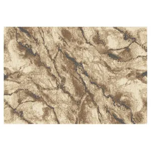 Obrazek Dywan Frisee Phoenix 1,6/2,3 6056 744