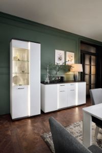 Obrazek Szafka rtv Venezia 2D2S VENF01