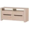 Obrazek Szafka RTV 21 DESJO 2d dąb san remo