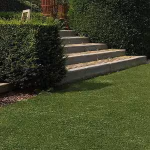 Obrazek Sztuczna trawa Capri rolka 100cm x 200cm