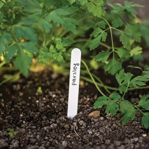 Obrazek Etykieta do roślin 15x1,5 cm opak 25szt TYE1515