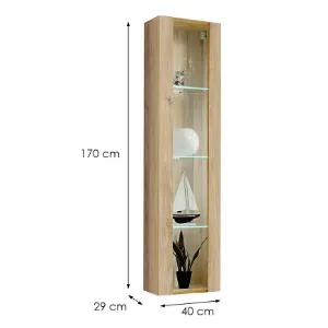 Obrazek Witryna FLY HJ FY 41 hickory jackson