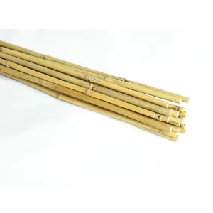 Obrazek Palik bambusowy 120 cm 08/10 mm 20 szt.