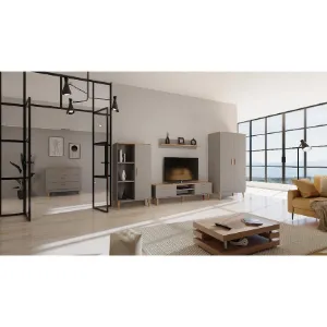 Obrazek Szafka RTV 160 Denver Szary Chinchilla/Hikora