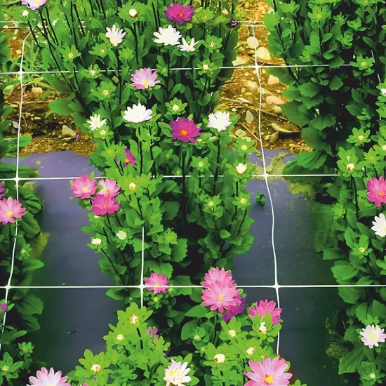 Obrazek Siatka wsporowa dla roślin 8g/m2.15x17mm. 2x10m