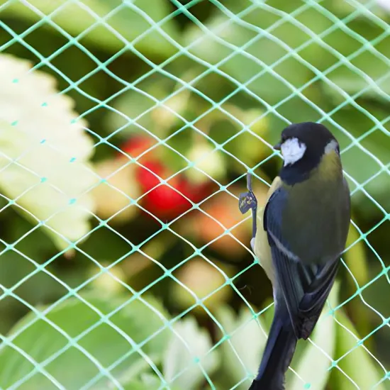 Obrazek Siatka ochronna dla ptaków 10g/m2 17x17mm 5x5m