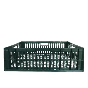 Obrazek Skrzynka 600x400x170 Zielona