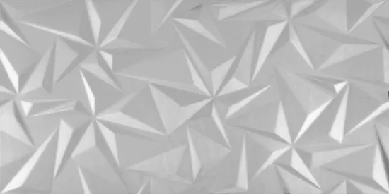 Obrazek Dekor Metal Silver Rekt 30/60