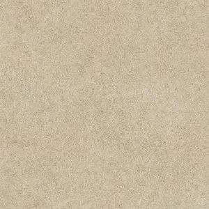 Obrazek Gres Hektor taupe 60/60 (2 cm)