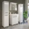Obrazek Zestaw szafka z umywalką CAPRI D55 2D0S biała