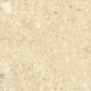 Obrazek Płytka tarasowa Terrazzo Stone Warm Beige 20 mm 59,3/59,3 Rekt.