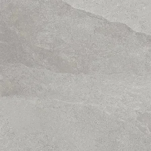 Obrazek Alaska Grey 60/60 Rett.