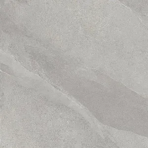 Obrazek Alaska Grey 60/60 Rett.