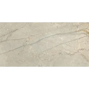 Obrazek BATRIX GREY 59.8/119.8