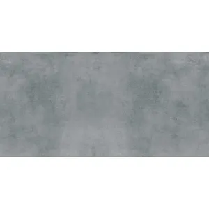 Obrazek Eco Fantastic Grey 59,8/119,8