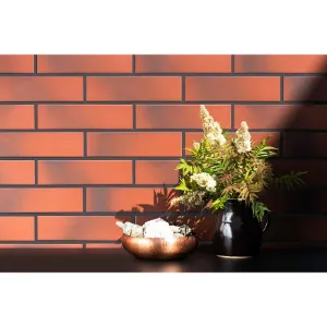 Obrazek Elewacja cieniowana gładka rot 24,5/6,5