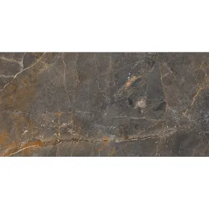 Obrazek Vector Grey 59,7/119,7