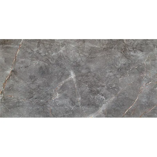 Obrazek Visine Grey Gloss 59,8/119,8