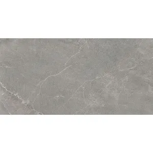 Obrazek Wermex Light Grey 59,8/119,8