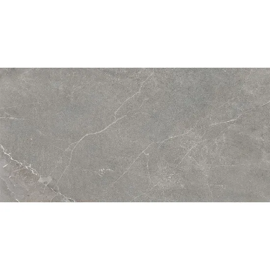 Obrazek Wermex Light Grey 59,8/119,8
