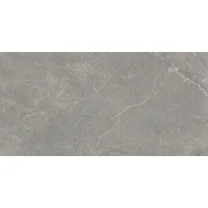 Obrazek Wermex Light Grey 59,8/119,8