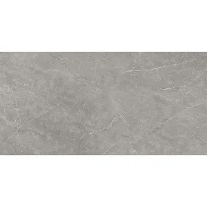 Obrazek Wermex Light Grey 59,8/119,8
