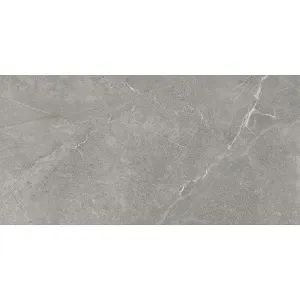 Obrazek Wermex Light Grey 59,8/119,8